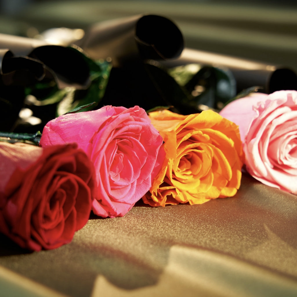 Single Rose Rococo Single Long-Stem Forever Roses | Rococo