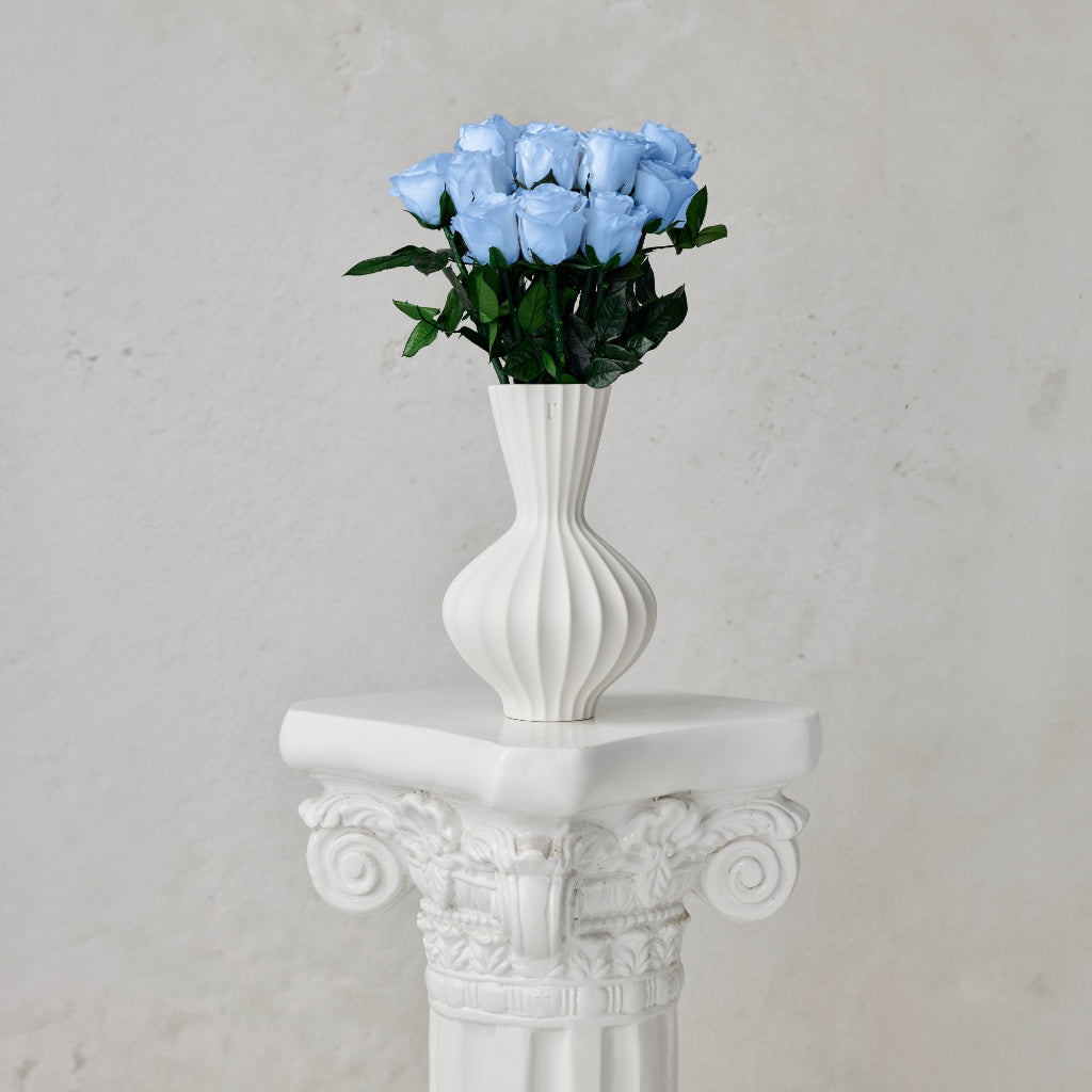 フラワー・ガーデニング rococo フラワー・ガーデニング rococo Houseplants – Rococo Floral co.