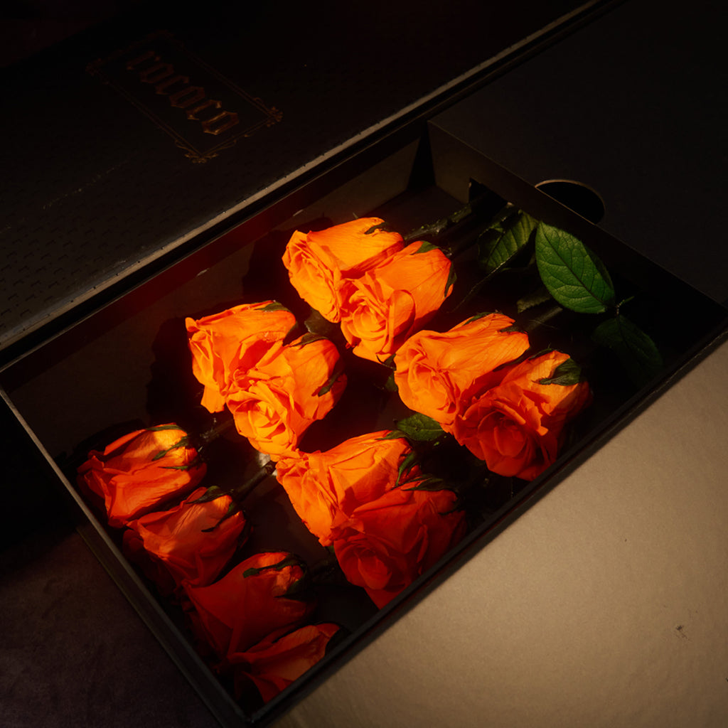 Single Rose Rococo 12 Long-Stem Forever Roses | Rococo
